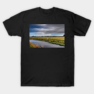 Autumn 2020 T-Shirt